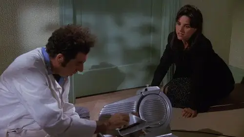 Seinfeld Temporada 9 Cap 7 • Español Online