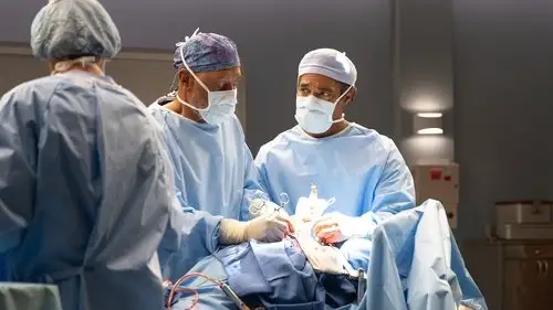 Anatomía de Grey Temporada 22 Episodios 3 • Sub Español