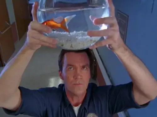 Scrubs Temporada 6 Episodios 11 • Sub Español
