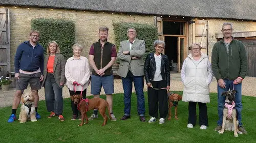Dogs Behaving (Very) Badly Temporada 8 Episodios 7 • Sub Español