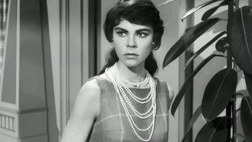 Perry Mason Temporada 2 Episodios 21 • Sub Español