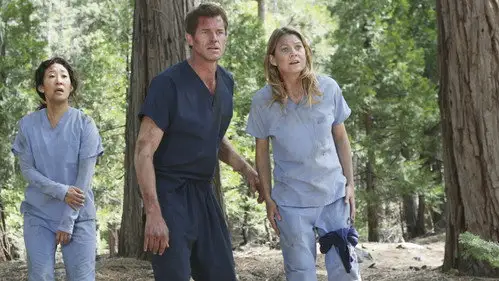 Anatomía de Grey Temporada 8 Cap 24 • Español Online
