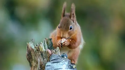 Countryfile S36E16 • Oglądaj Online