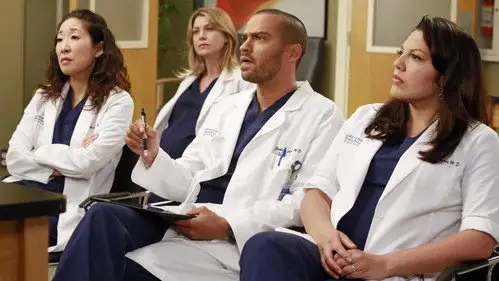 Anatomía de Grey Temporada 9 Cap 20 • Español Online