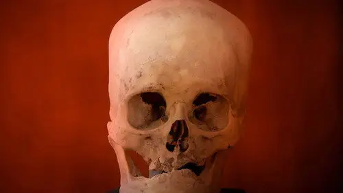 Alienígenas ancestrales Temporada 3 Episodios 16 • Sub Español