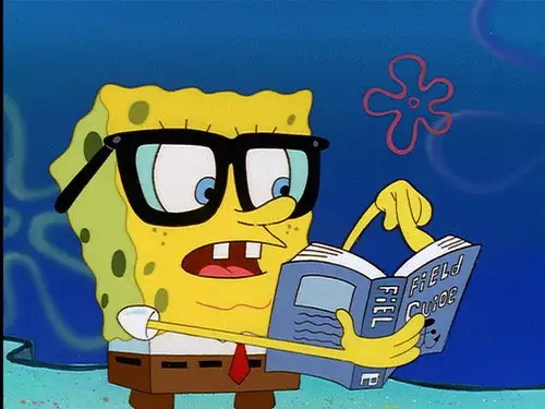 Bob Esponja Temporada 1 Episodios 3 • Sub Español