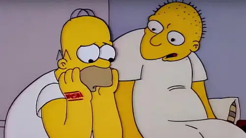 Los Simpson Temporada 3 Episodios 1 • Sub Español