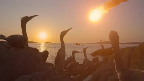 Los dinosaurios Temporada 1 Episodios 4 • Sub Español