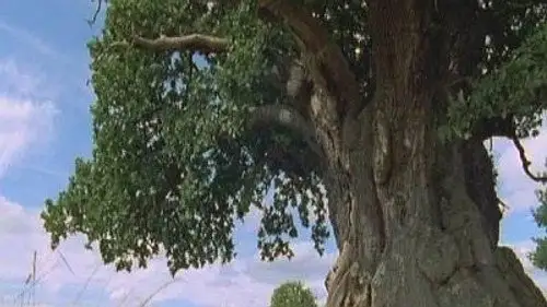 Mundo Natural Temporada 18 Episodios 5 • Sub Español