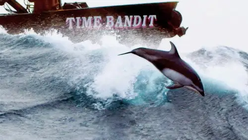 Pesca radical Temporada 20 Episodios 6 • Sub Español