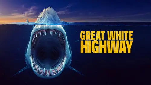 Shark Week S39E19 • Oglądaj Online
