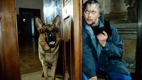 Rex, un policía diferente Temporada 1 Episodios 5 • Sub Español