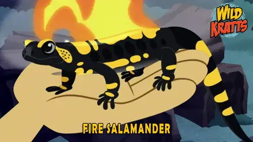 Los Hermanos Kratt Temporada 5 Episodios 5 • Sub Español
