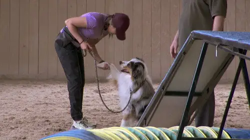 The Amazing Race Canada Temporada 8 Episodios 6 • Sub Español