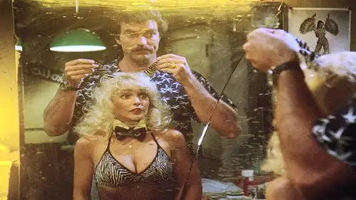 Magnum 1980 Temporada 2 Episodios 20 • Sub Español