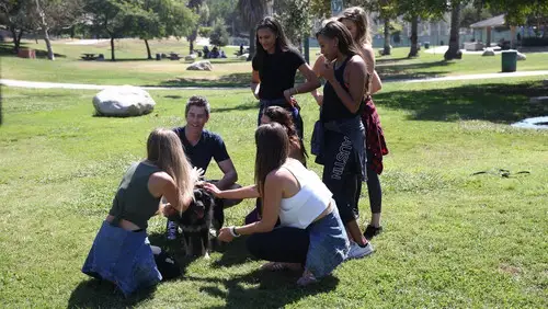 The Bachelor Temporada 22 Episodios 3 • Sub Español