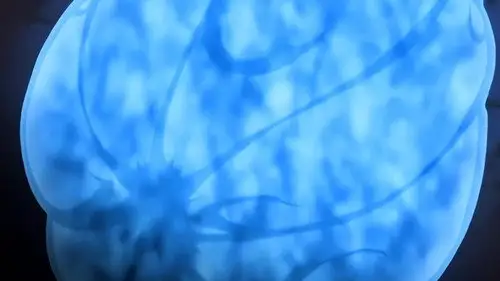 Naruto Shippuden Temporada 1 Episodios 11 • Sub Español