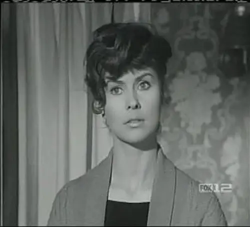 Perry Mason Temporada 8 Episodios 15 • Sub Español