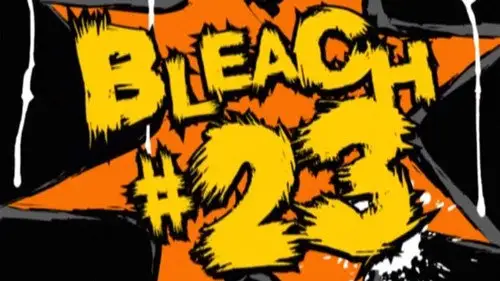 Bleach Temporada 1 Episodios 23 • Sub Español