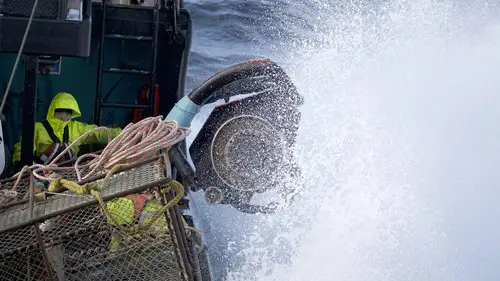 Pesca radical Temporada 14 Episodios 6 • Sub Español
