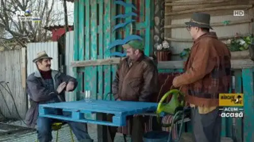 Las Fierbinţi Temporada 21 Episodios 21 • Sub Español