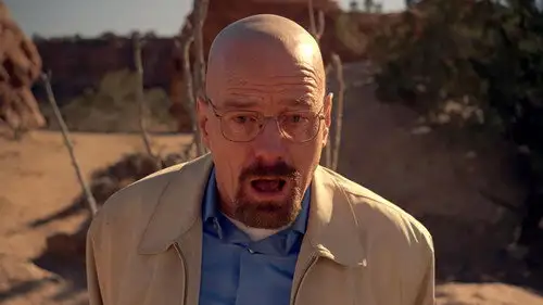 Breaking Bad Temporada 5 Episodios 14 • Sub Español