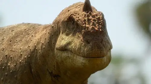 Planeta prehistórico Temporada 0 Episodios 9 • Sub Español