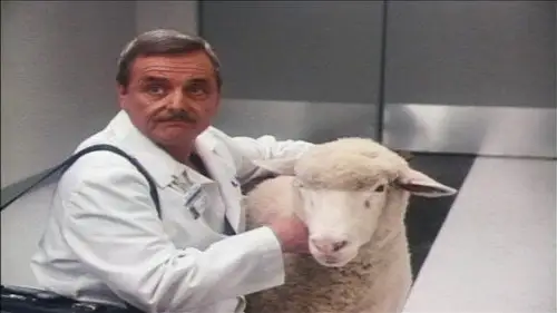 St. Elsewhere Temporada 6 Episodios 10 • Sub Español