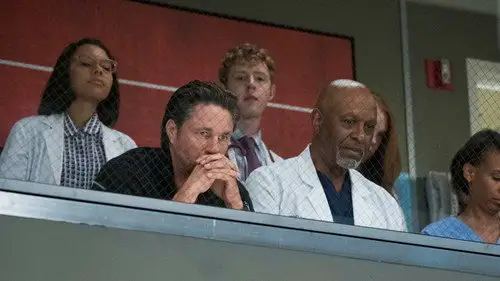 Anatomía de Grey Temporada 14 Cap 1 • Español Online
