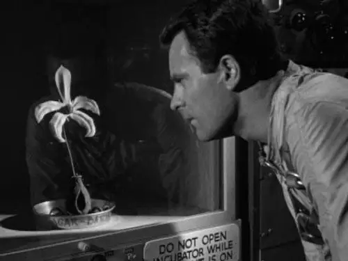 Más allá del límite 1963 Temporada 1 Episodios 22 • Sub Español