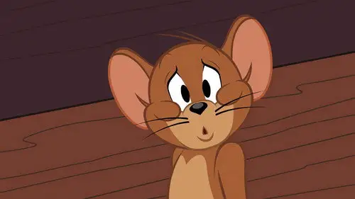 El Show de Tom y Jerry 2014 Temporada 2 Episodios 11 • Sub Español