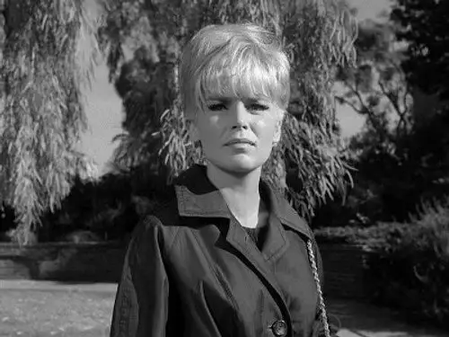 Perry Mason Temporada 9 Episodios 12 • Sub Español