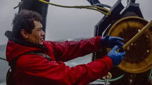 Pesca radical Temporada 15 Episodios 17 • Sub Español