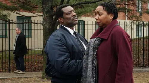 Chicago Fire Temporada 5 Episodios 16 • Sub Español
