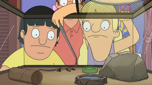 Bob's Burgers Temporada 16 Episodios 8 • Sub Español