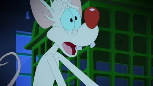 Animaniacs Temporada 2 Episodios 24 • Sub Español
