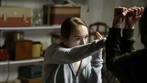 The Americans Temporada 5 Episodios 13 • Sub Español