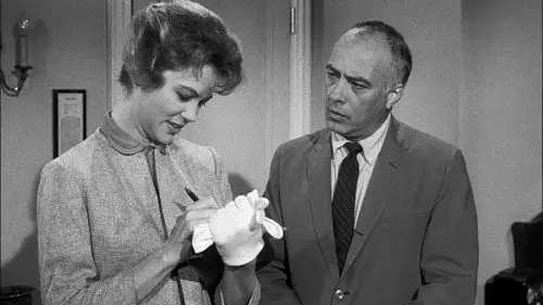 Perry Mason Temporada 4 Episodios 12 • Sub Español