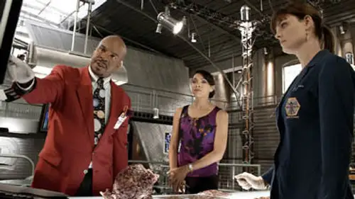 Bones Temporada 6 Episodios 4 • Sub Español