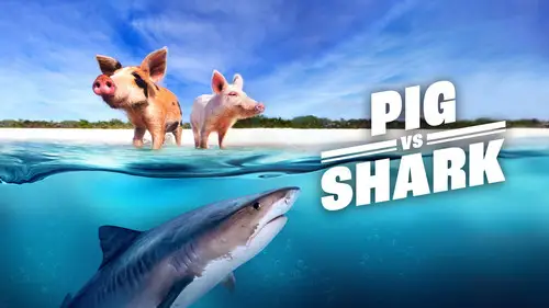 Shark Week S35E9 • Oglądaj Online