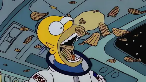 Los Simpson Temporada 5 Episodios 15 • Sub Español