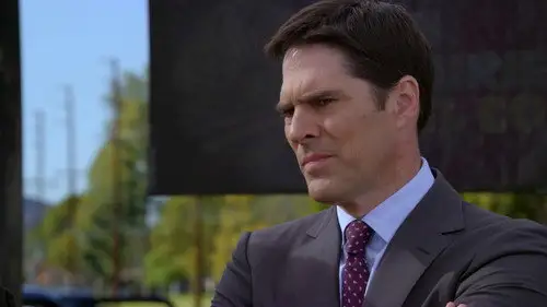 Mentes criminales Temporada 6 Cap 13 • Español Online