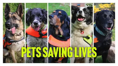 Our Lives Temporada 8 Episodios 10 • Sub Español