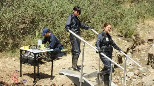 Bones Temporada 9 Episodios 8 • Sub Español