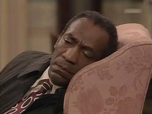 El show de Bill Cosby Temporada 5 Episodios 13 • Sub Español