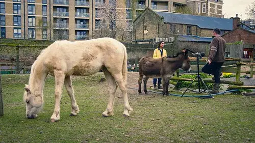Countryfile S33E16 • Oglądaj Online
