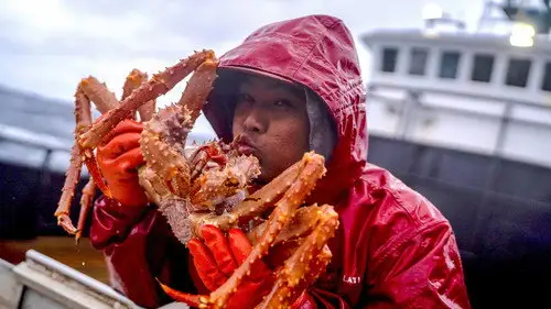 Pesca radical Temporada 22 Episodios 7 • Sub Español
