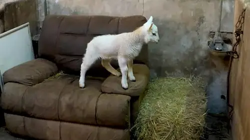 Countryfile S36E21 • Oglądaj Online