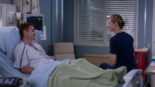 Anatomía de Grey Temporada 14 Cap 17 • Español Online