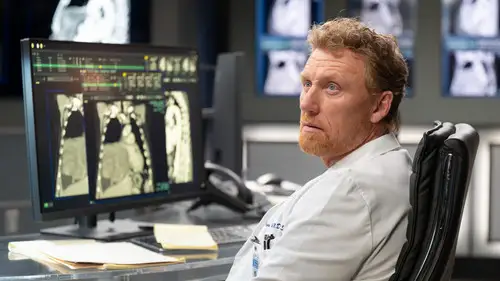Anatomía de Grey Temporada 22 Episodios 8 • Sub Español